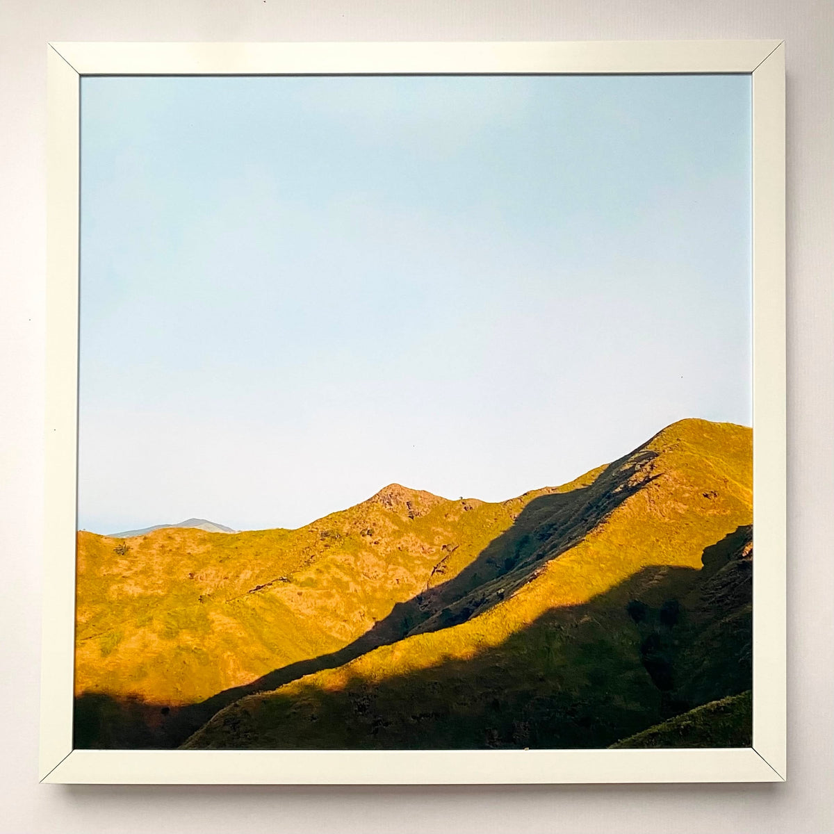 Daylight in Motion
