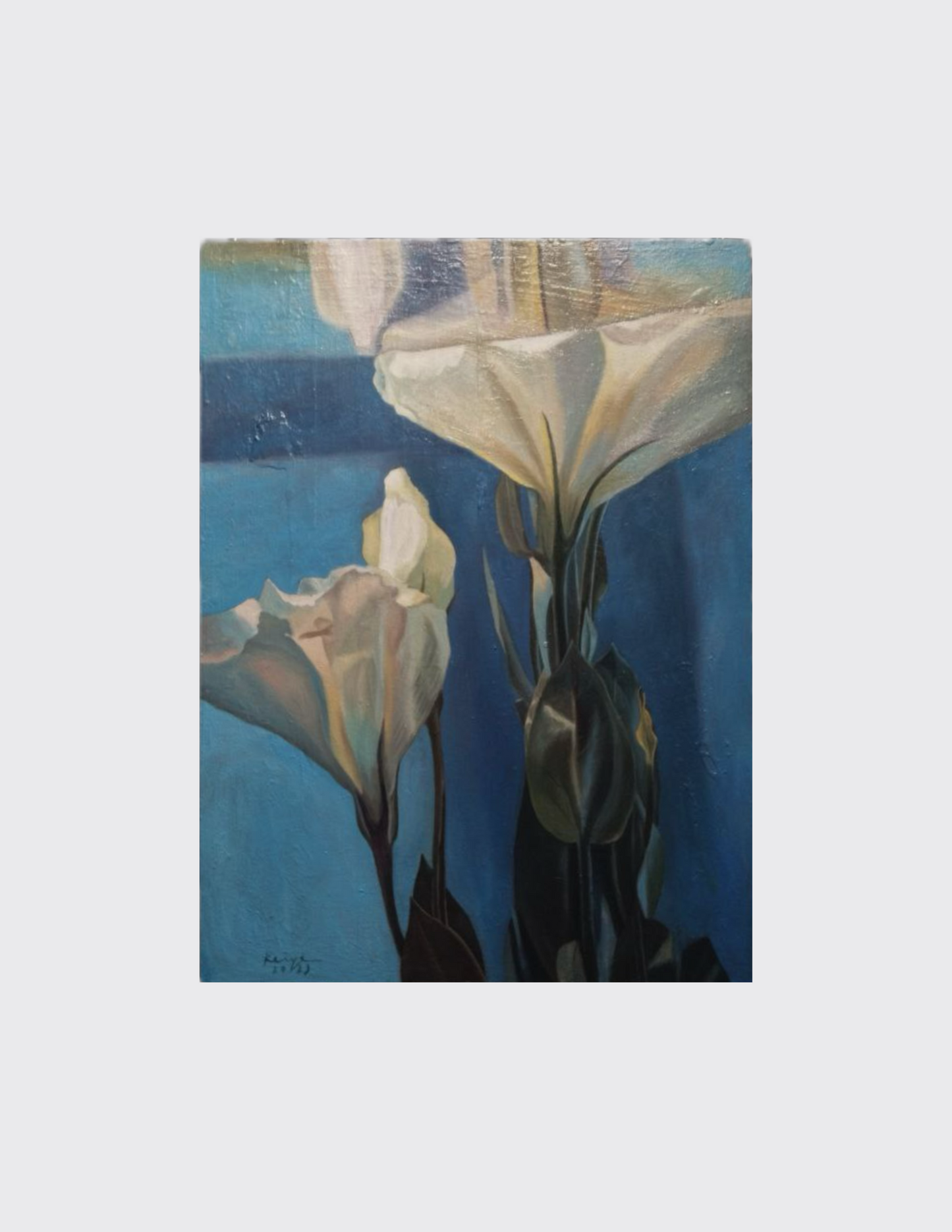 Blooming Underneath V