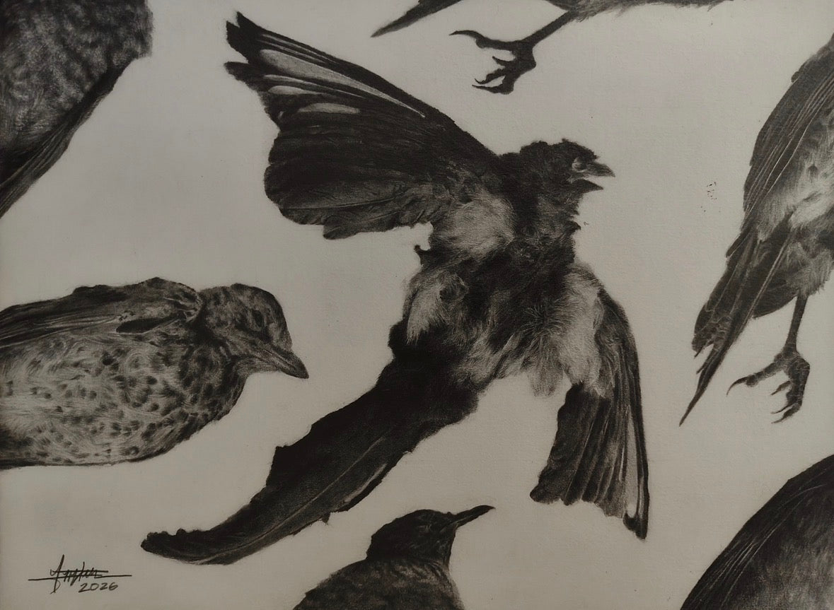 Paano Maging Malaya Tulad ng Ibon?