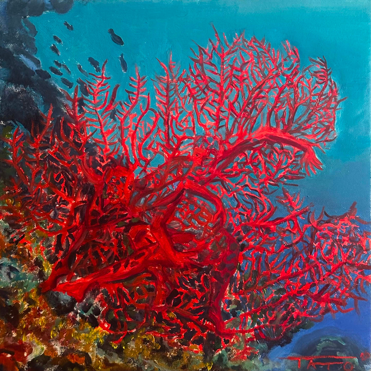 Symbiosis: Sea Fan