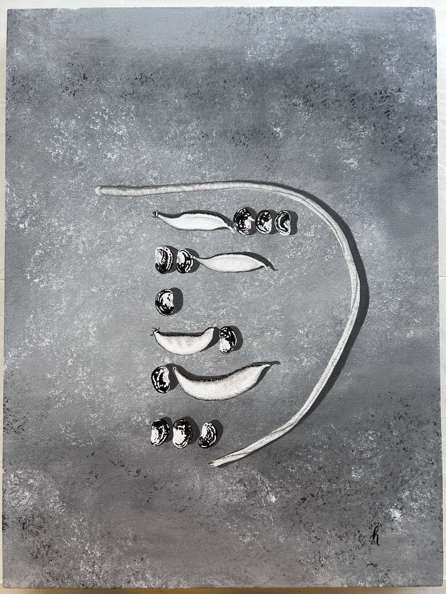 Sitaw, bataw, patani