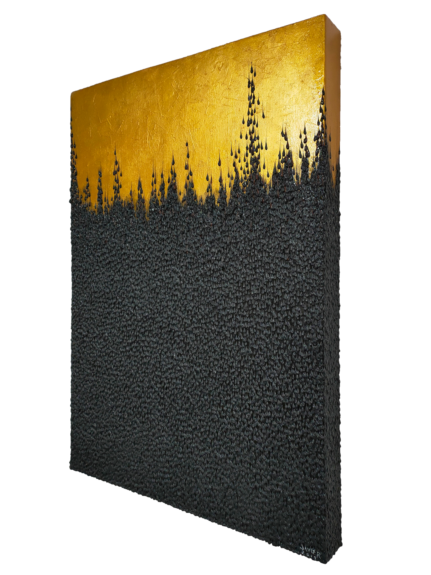 Forest Stand Delineation I