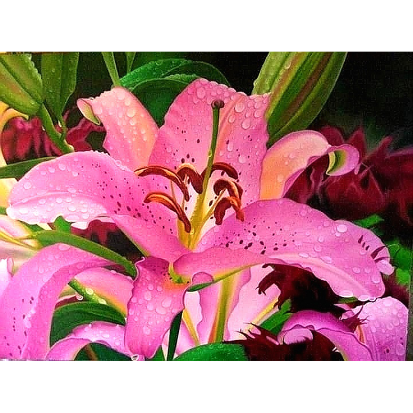 Flower Series 14
