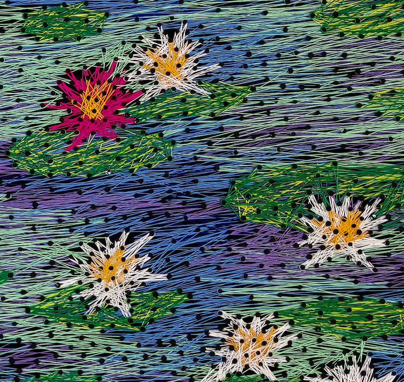 Lotus and Lily's Sanctuary