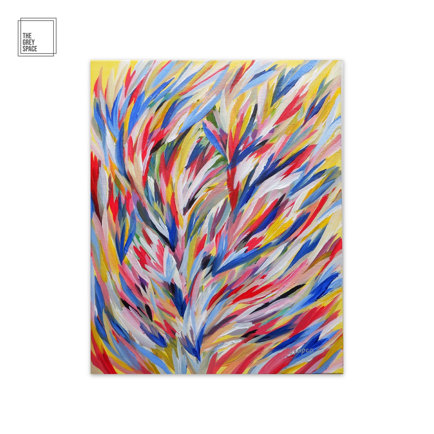 Rainbow Fields II