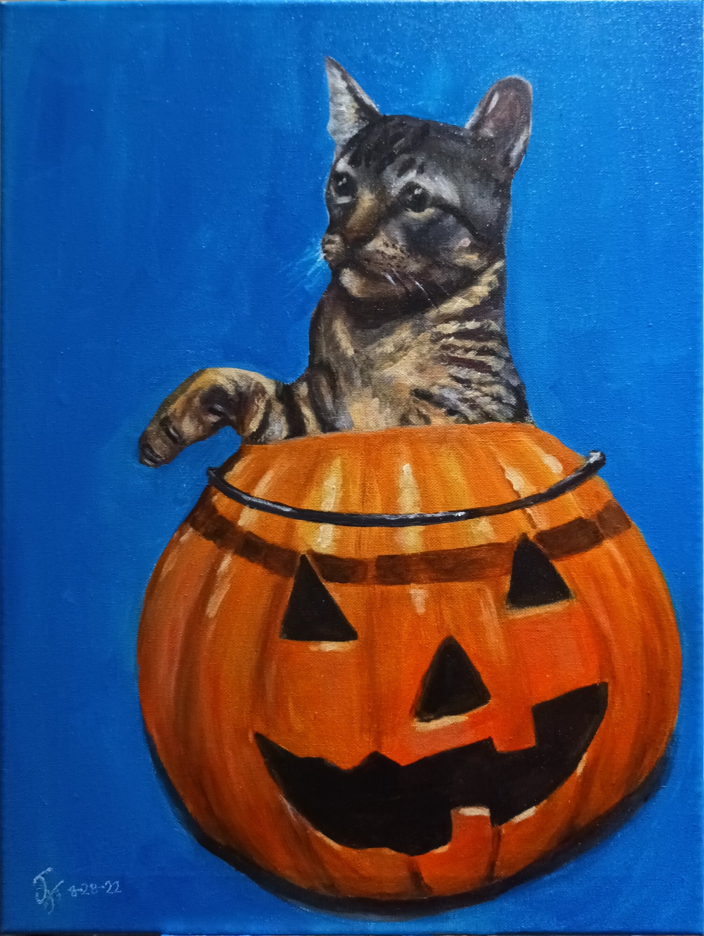 Cat in a Pumpkin