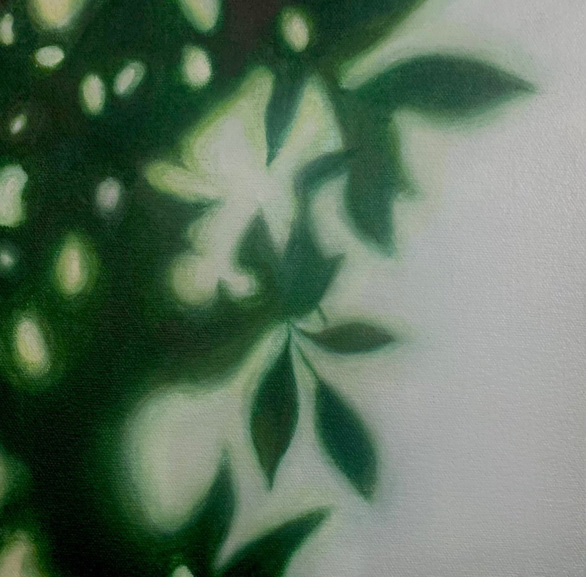 Don