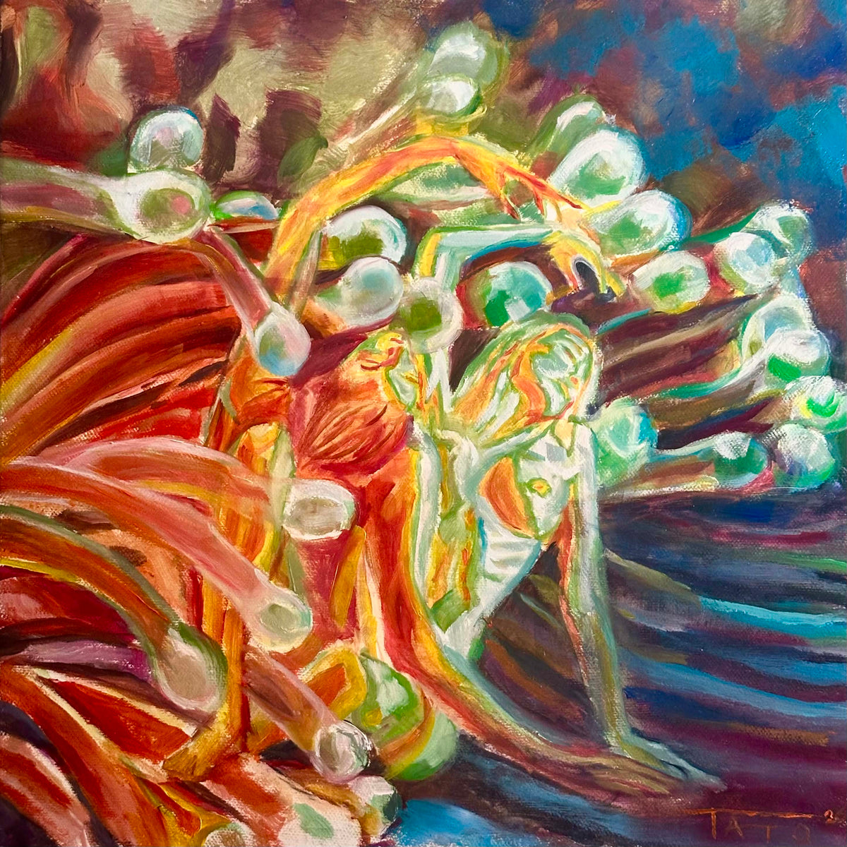 Symbiosis: Anemone
