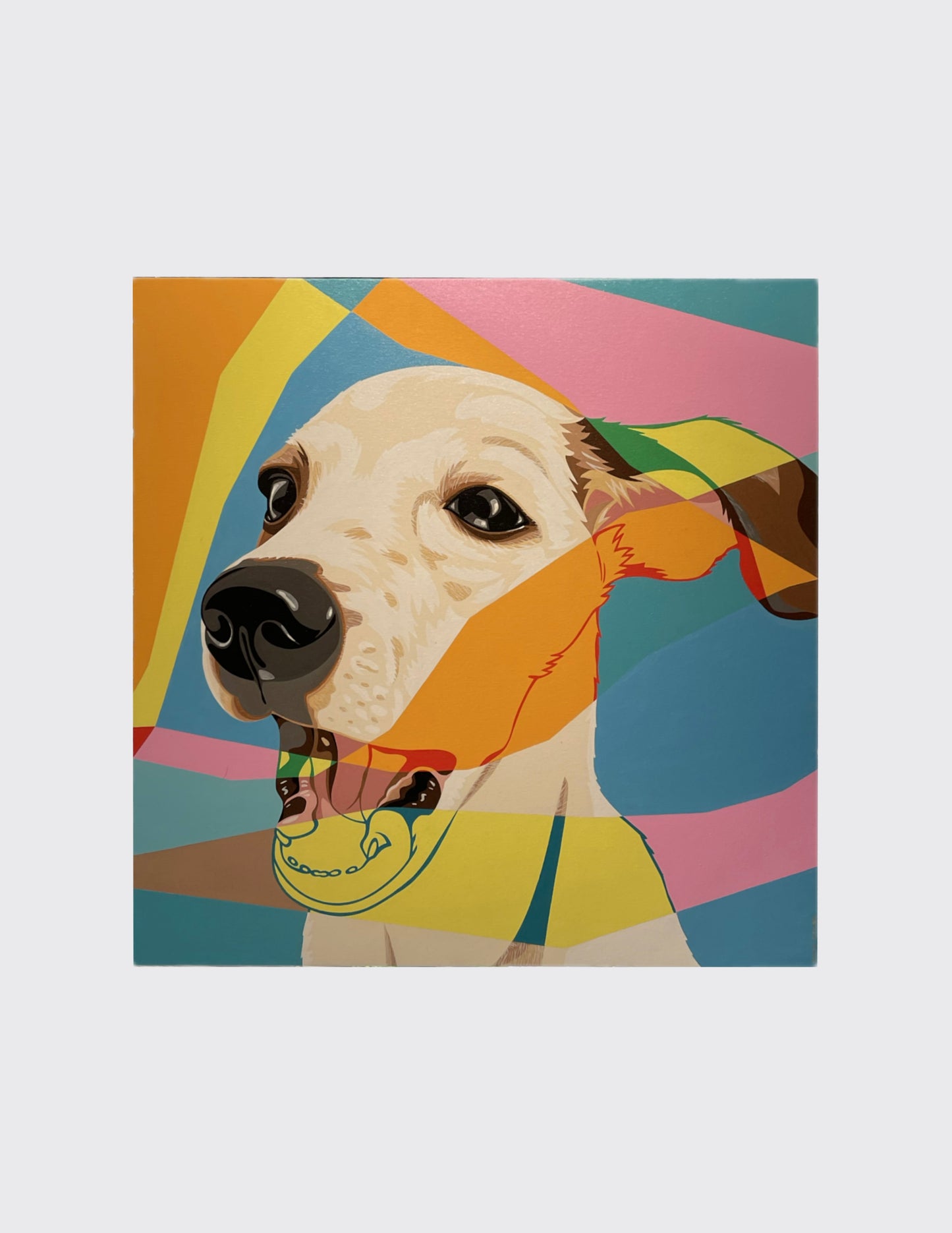 Dog Show