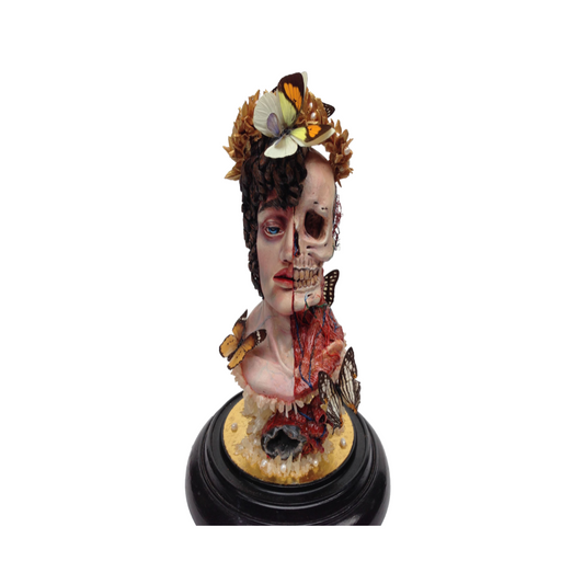 Life , Death and Reincarnation