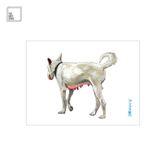 DodoDog
